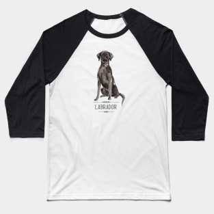 Black Labrador Baseball T-Shirt